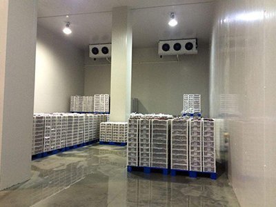 貴州冷庫安裝公司分享冷庫設計根據庫房容量如何確定尺寸
